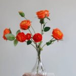Tulip Flower Vases