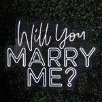 Will You Marry Me Neon Sign