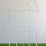 White French Window