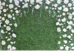 Green Wall with White Flowers