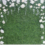 Green Wall with White Flowers
