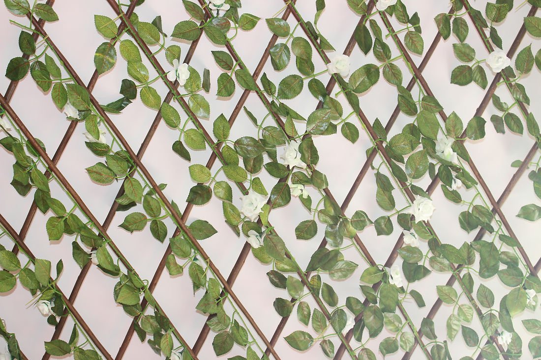 bead3e_bfa1341241ef47ba8c70956789c751fbmv2_d_5184_3456_s_4_2.jpg Garden Diamonds - Image 1