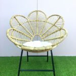 Cane Chair