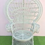Grey Peacock Chair